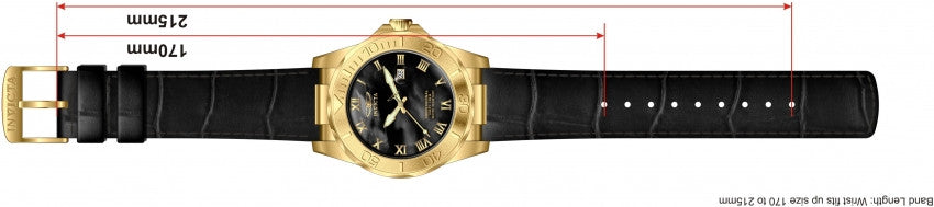 Image Band for Invicta Pro Diver 1712