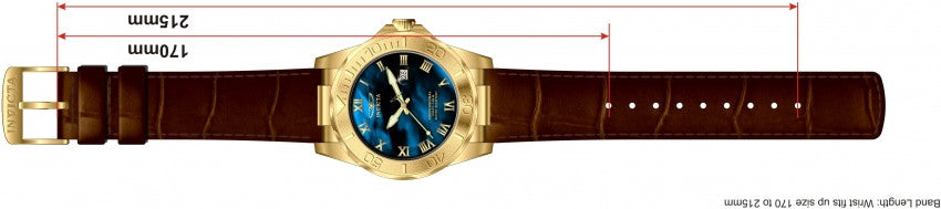 Image Band for Invicta Pro Diver 1711