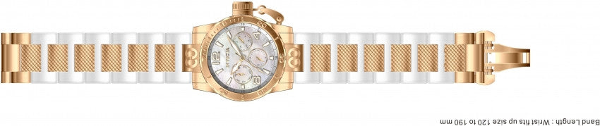 Image Band for Invicta Corduba 1702